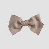 oatmeal bow on a white background