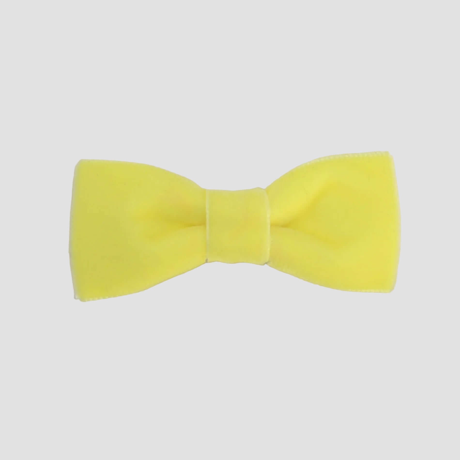0-24 mos  light yellow mazie velvet bow tie on a white background