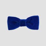 0-24 mos Royal Blue velvet bow tie on a white background
