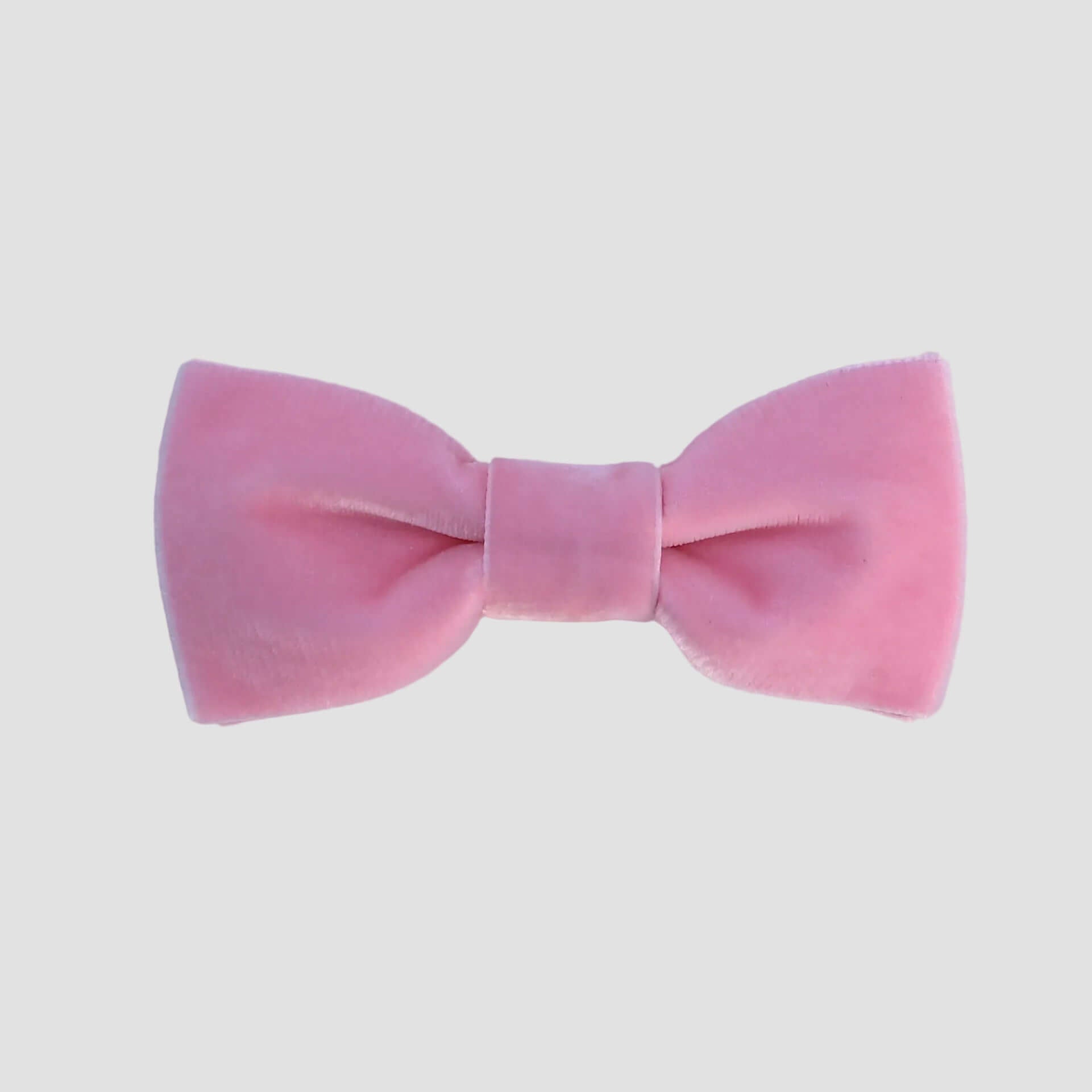 Blush pink velvet bow tie on a white background
