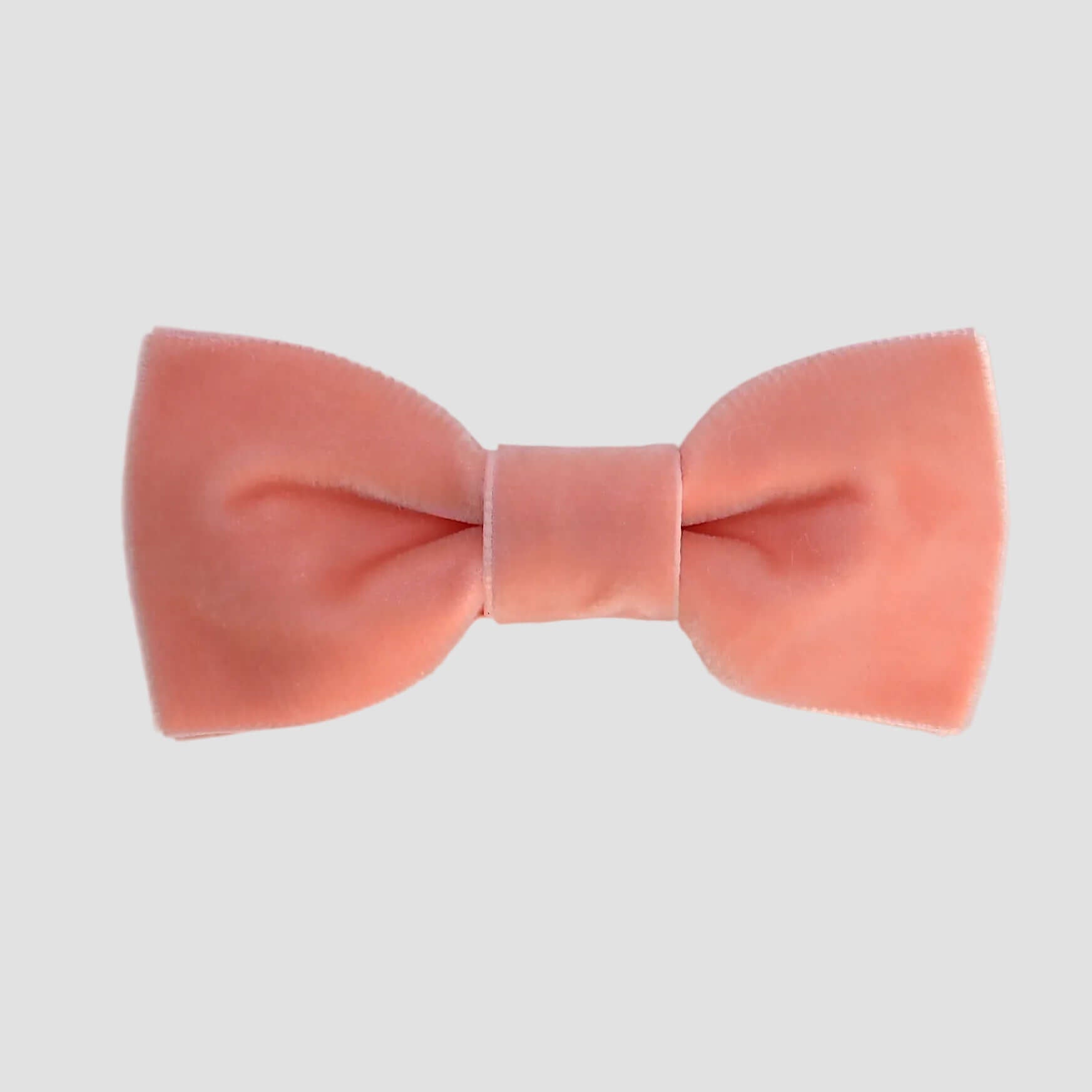Coral velvet bow tie on a white background