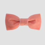 Coral velvet bow tie on a white background