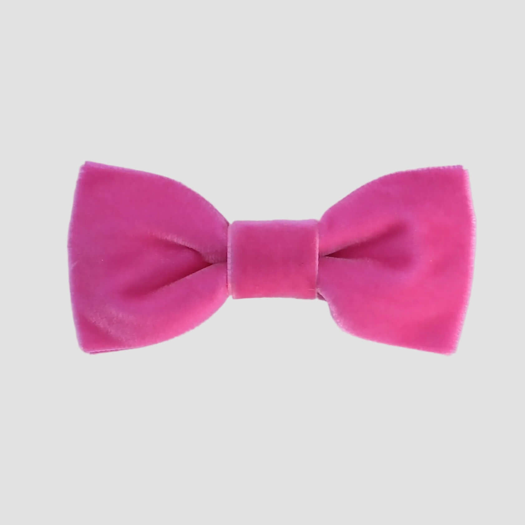 Hot pink velvet bow tie on a white background