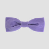 Lavender purple men bow tie on a white background.