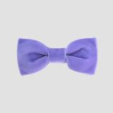 Lavender purple velvet bow tie on a white background