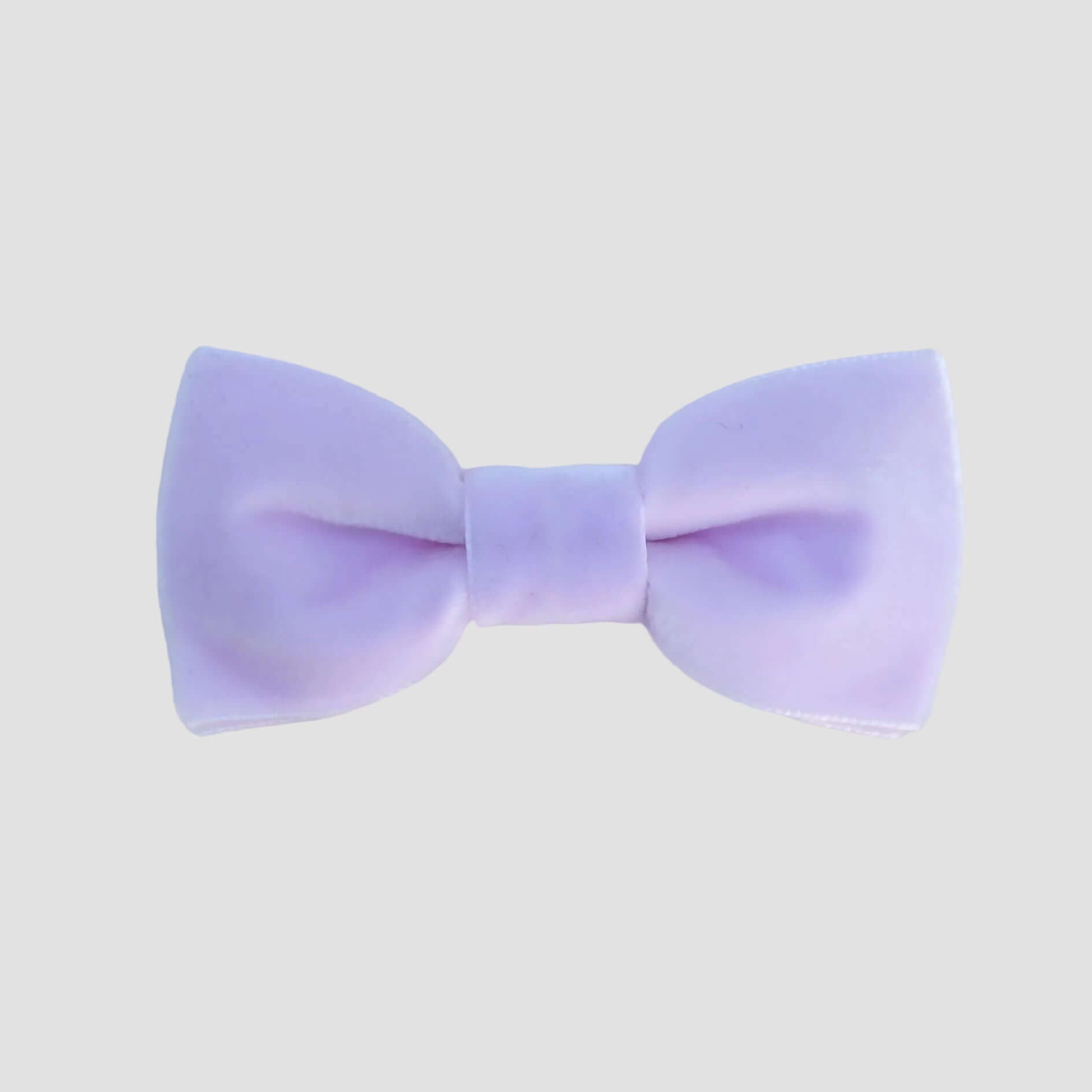 Lilac purple velvet bow tie on a white background