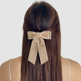 Model with long brown hair wear Mia velvet hair bow in taupe in a half-up hairstyle.