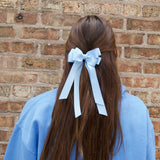Person with long brown hair tied back with a blue Emerson bow against a brick wall.