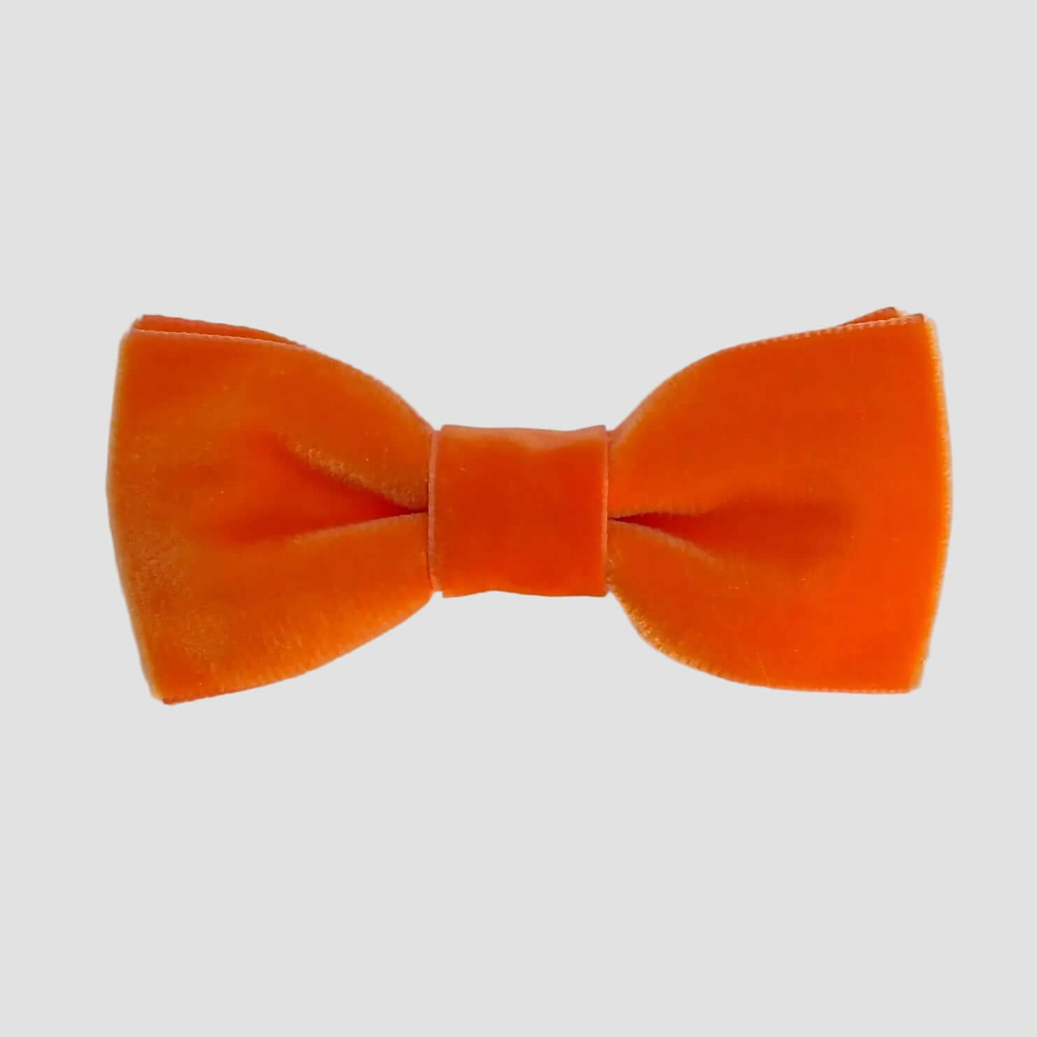 Orange velvet bow tie on a white background