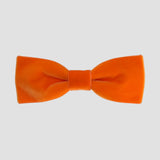 Orange men bow tie on a white background.