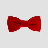 Red velvet bow tie on a white background