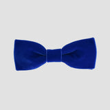 Royal blue men bow tie on a white background.