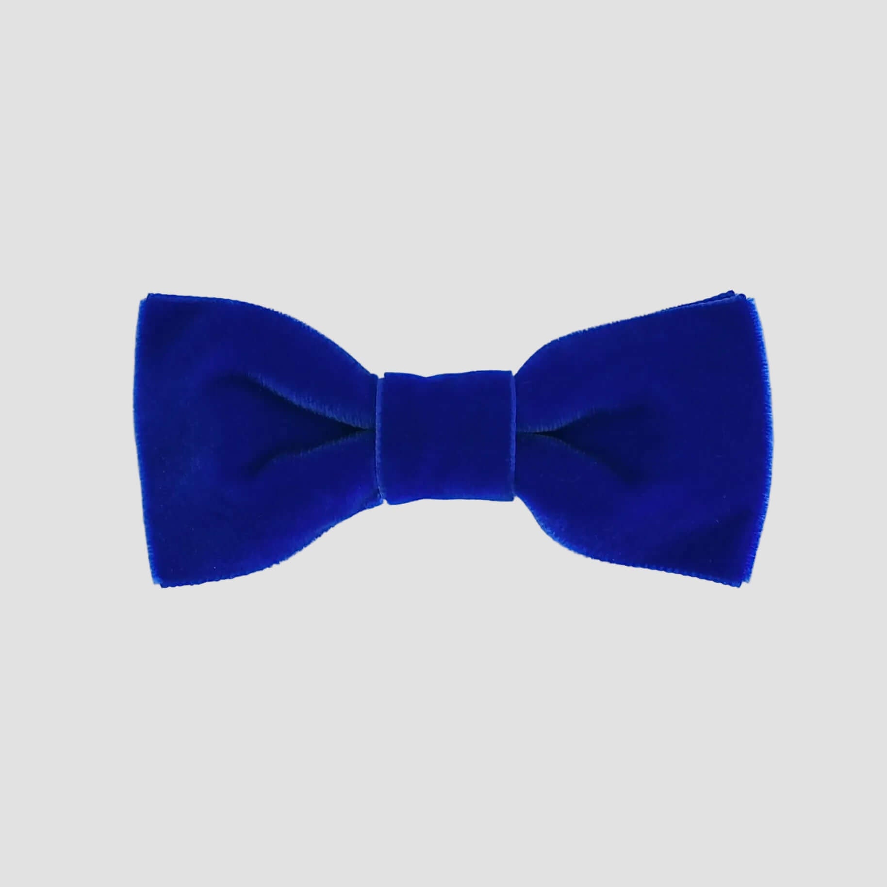 Royal blue velvet bow tie on a white background