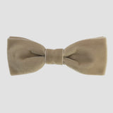 Taupe men bow tie on a white background.