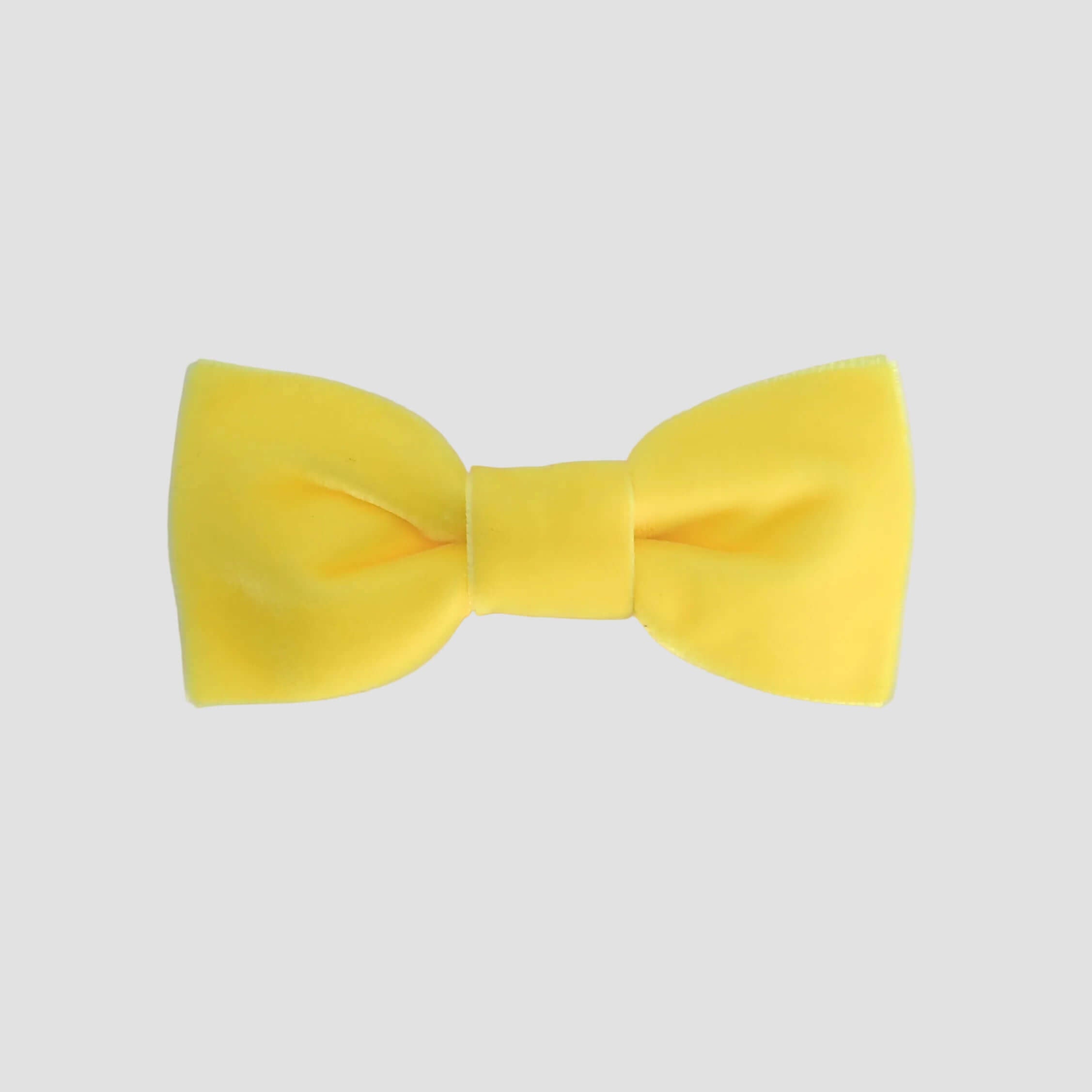 Yellow velvet bow tie on a white background